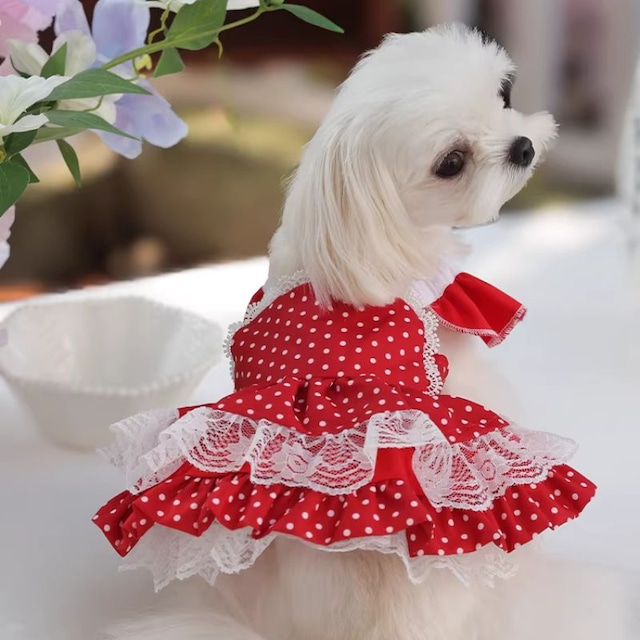 赤いドット生地のワンピース　犬服　01094