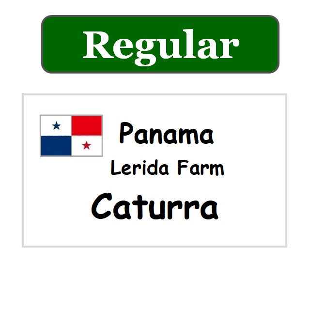 【コーヒー豆】グアテマラ　アルト・デ・メディナⅡ（100g）