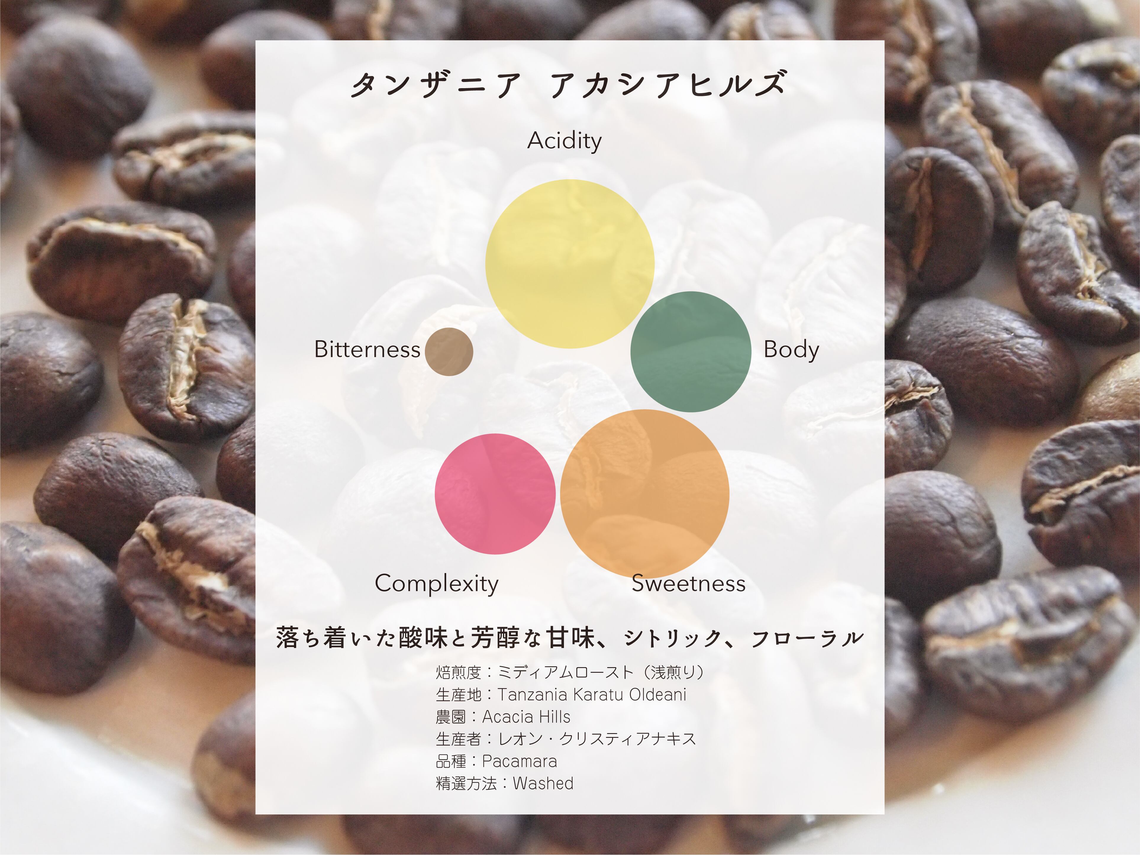 タンザニア アカシアヒルズ パカマラ ウォッシュト 200g | ポルトコーヒー
