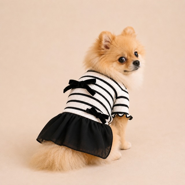 リボンボーダーTee