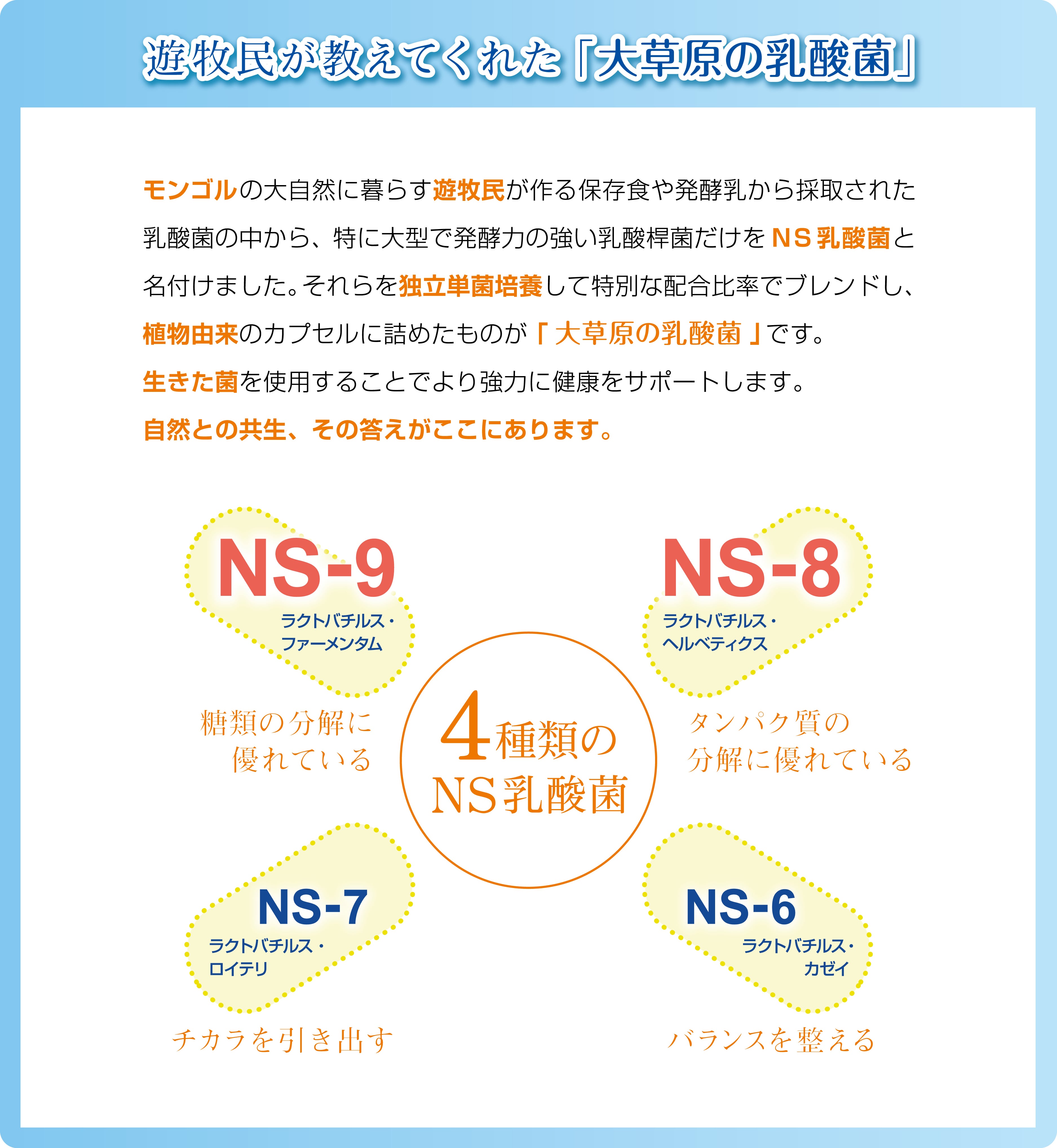 大草原の乳酸菌NS-Max（36粒） ≪18日分≫ | ラクア公式オンラインショップ