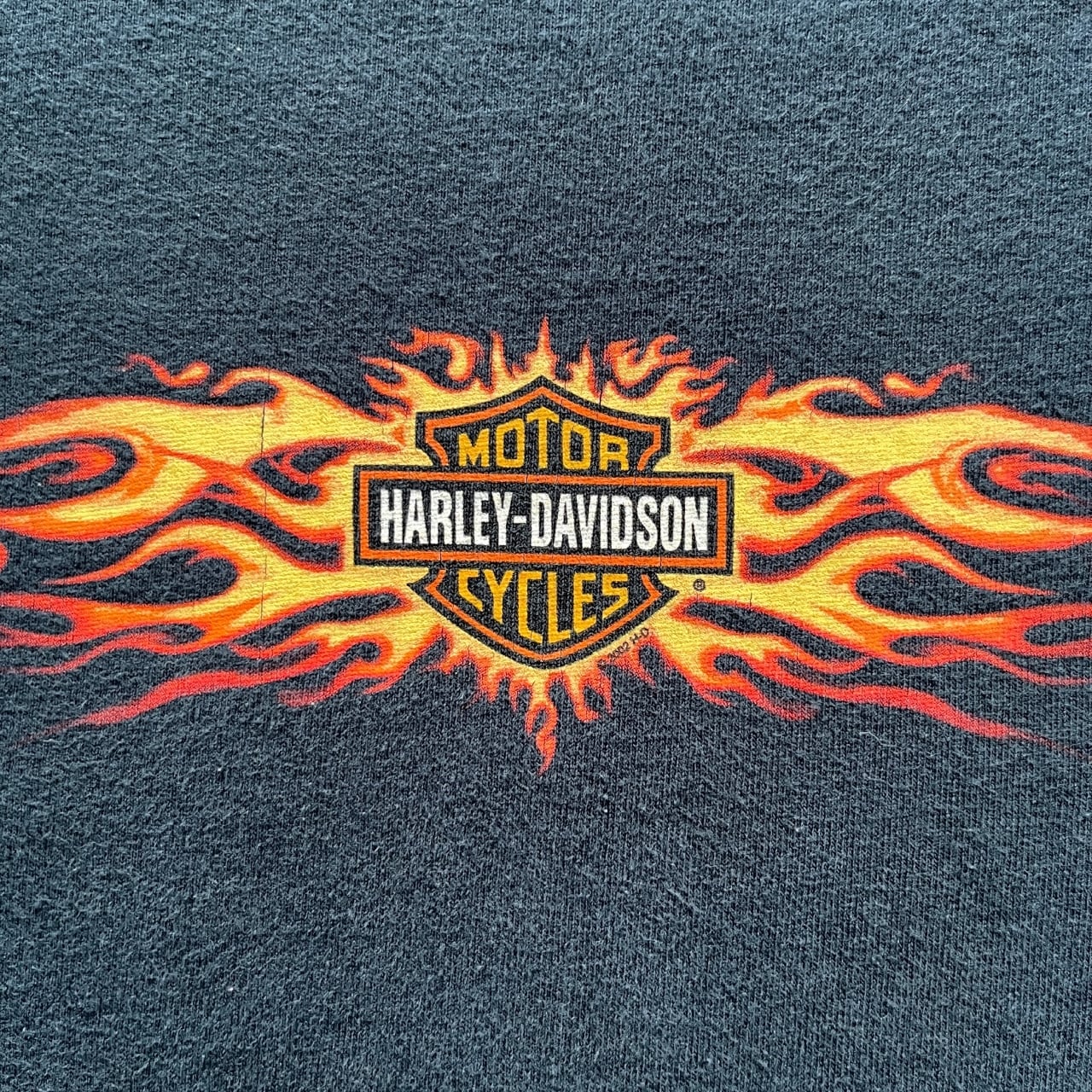 Harley Davidson 2002 Flaming Skull Long Sleeves Tee | Vintage High