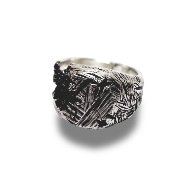 【送料無料/翌日発送】Silver Antique Ring【品番 19S2001】