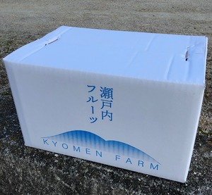 「完熟みかん」　7kg 　お徳用