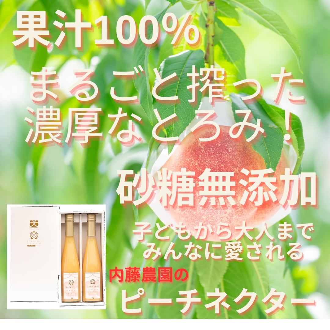 naito farmジュエリーピーチ加工品】 ご贈答用化粧箱 ネクター500ml