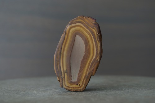 モロッコ産ストロマトライト Stromatolite 2212