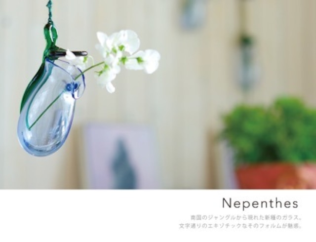 Nepenthes（ネペンタス）with bouquet ネット限定　小さなブーケ付き