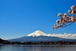 富士山と桜 04