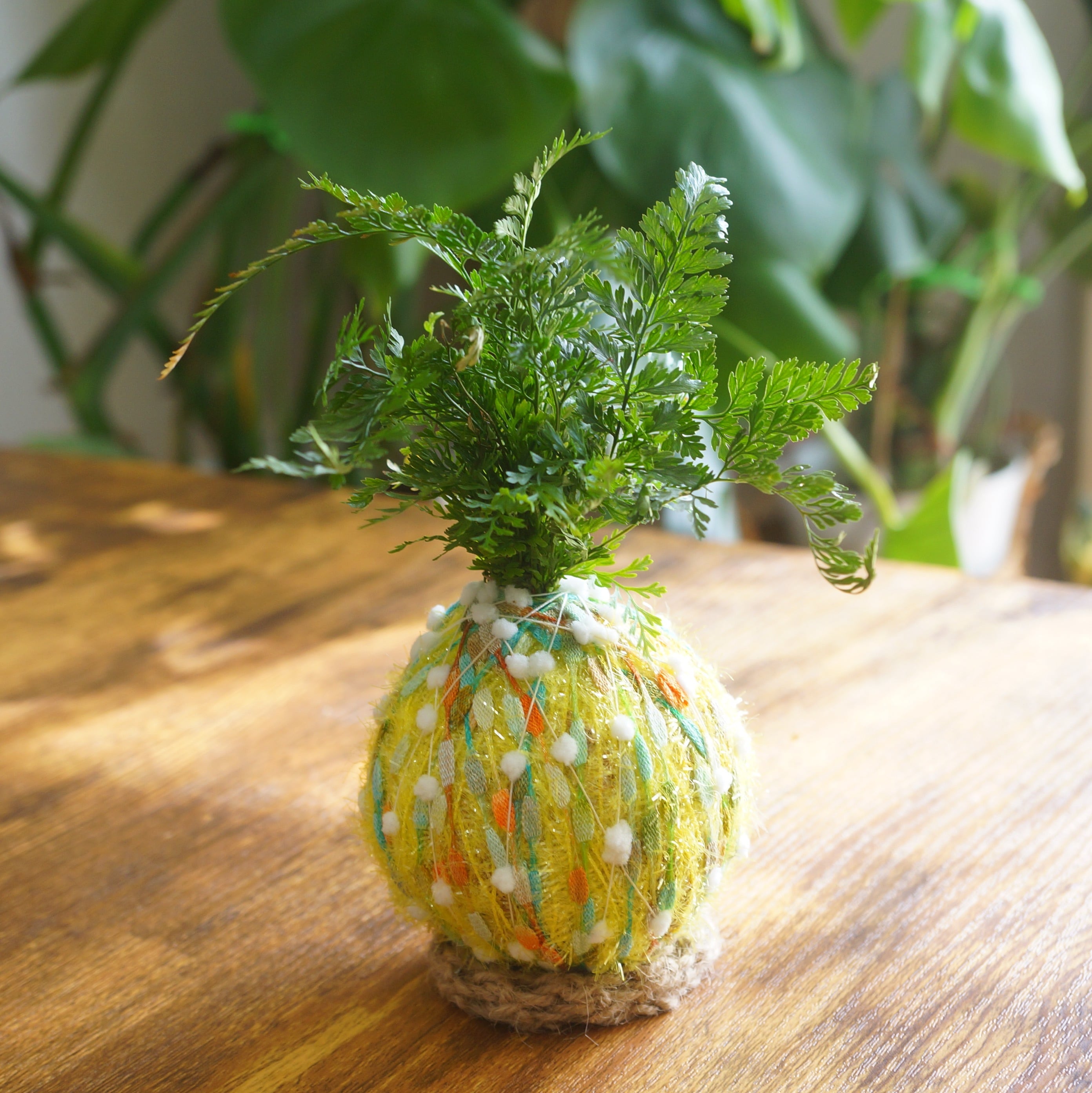 コロッコ | カンキチ工房 オンラインショップ//植物を枯らしてしまう