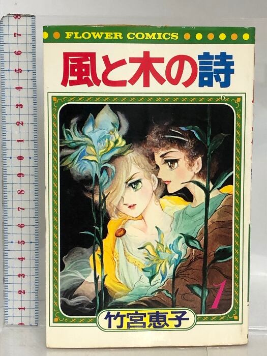風と木の詩 全17巻セット 竹宮恵子 風と木の詩