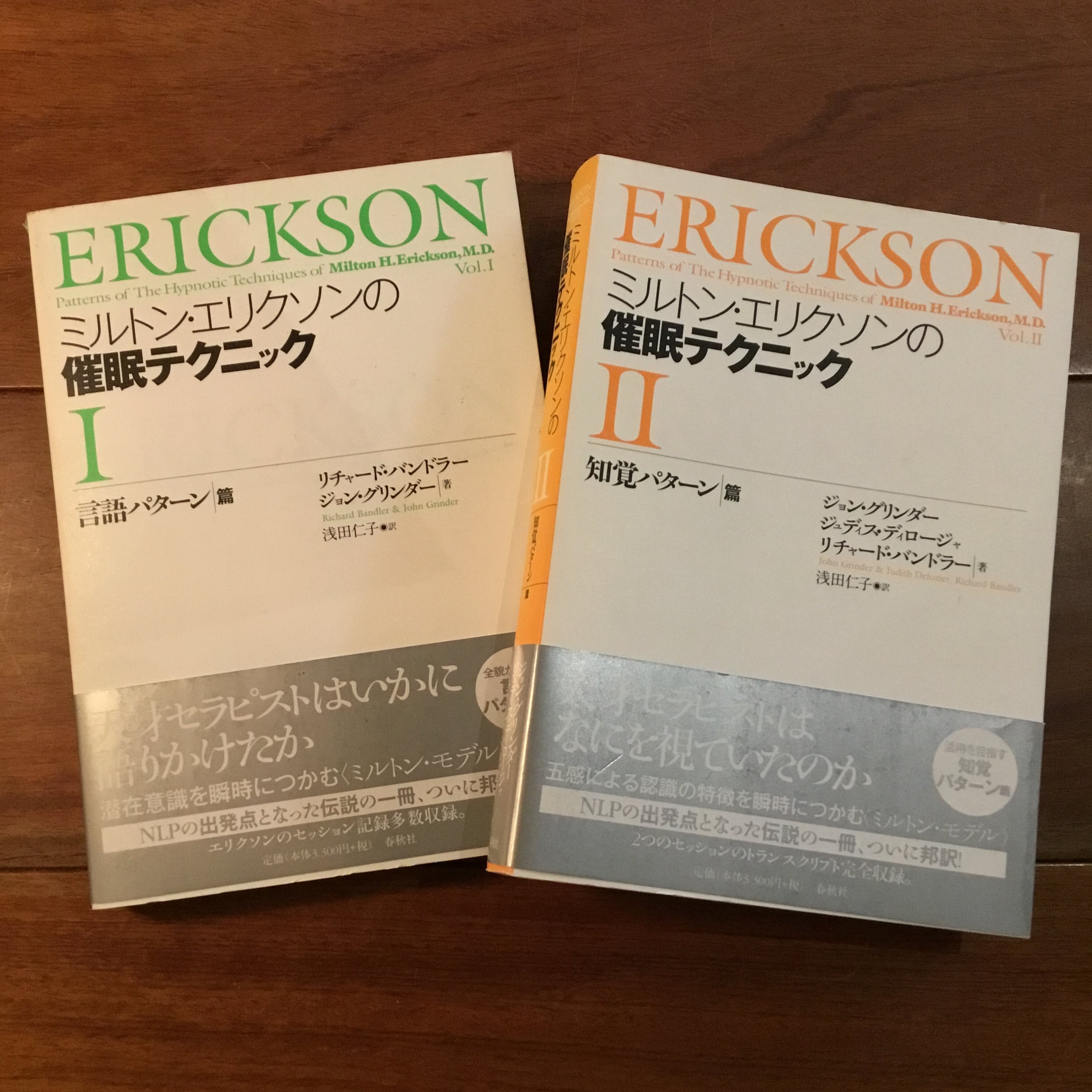 【中古】 磯崎新+篠山紀信 建築行脚 (8) マニエリスムの館 磯崎新+篠山紀信 建築行脚 (8) マニエリスムの館 パラッツォ・デル・テ