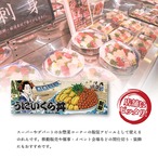 【受注生産】のれん 美味しい うにいくら丼 Ukiyo-e Style 85×30cm 42737