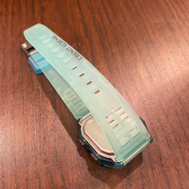 LIMITED DATABANK VERY RARE MODEL 