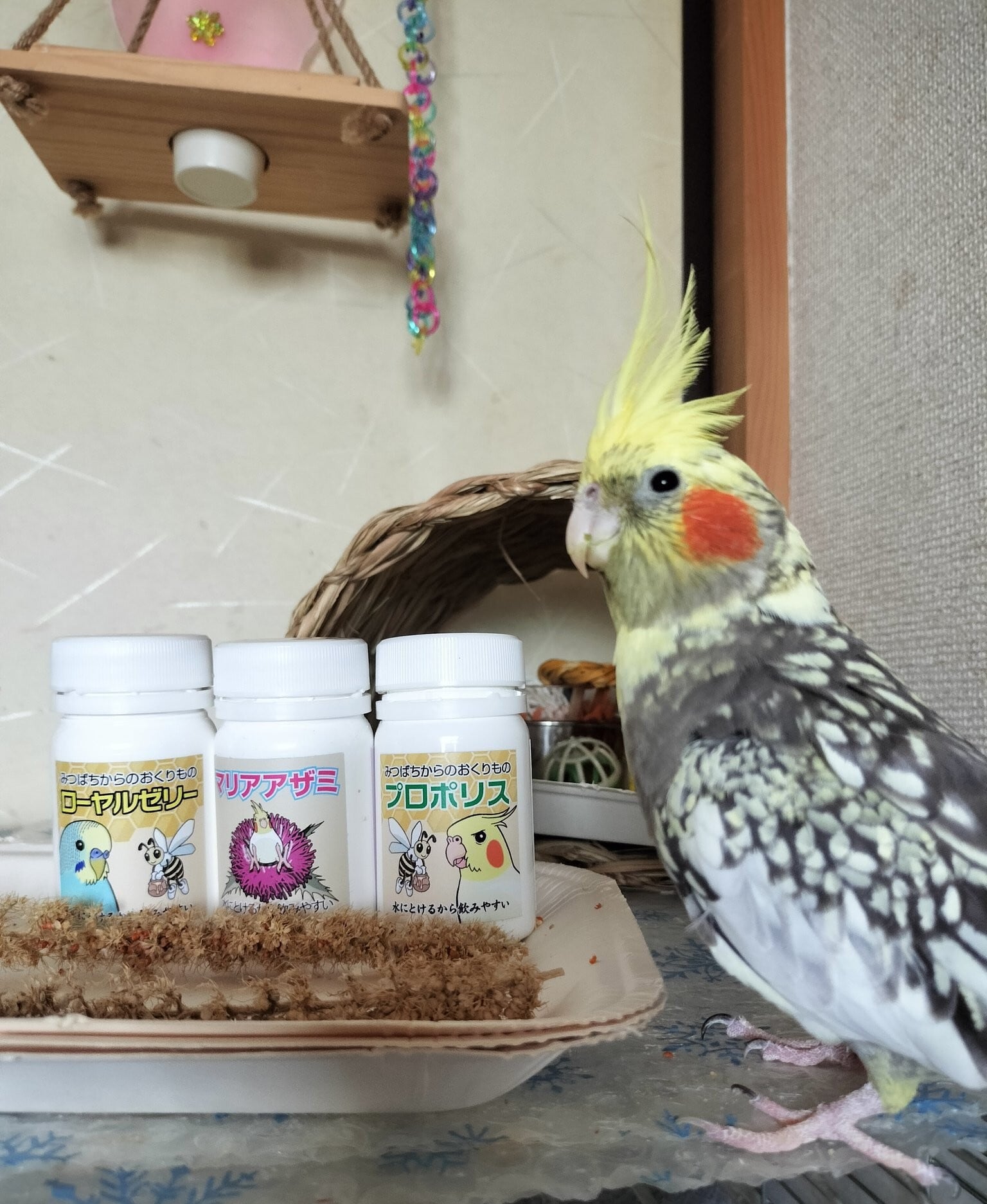 みつばちからのおくりものプロポリス(40g)・みつばちからのおくりもの