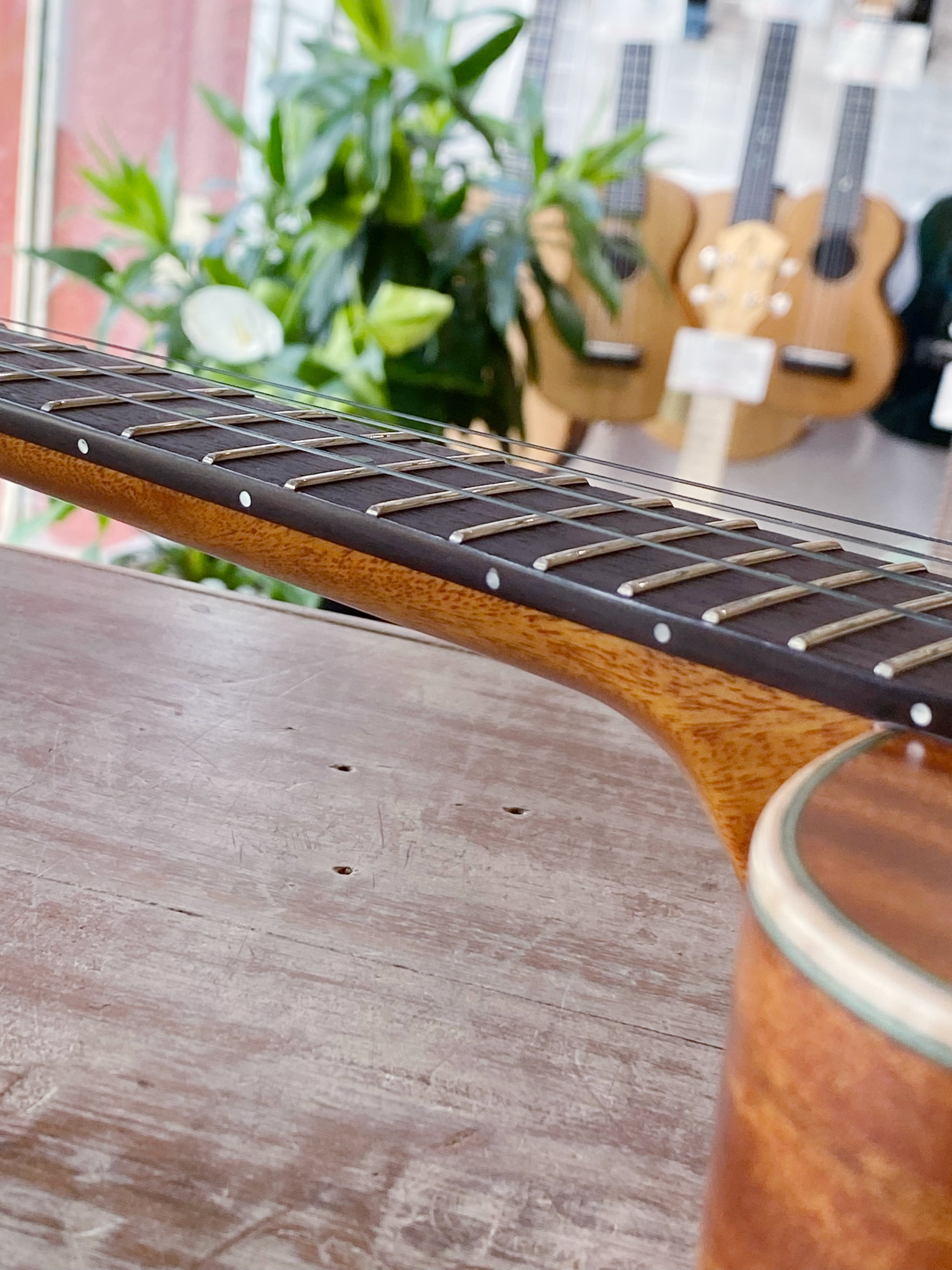 ウクレレ MaAmAa エアブラシアート カメ エメラルドグリーン チューナー付 ウクレレ MaAmAa エアブラシアート カメ エメラルドグリーン