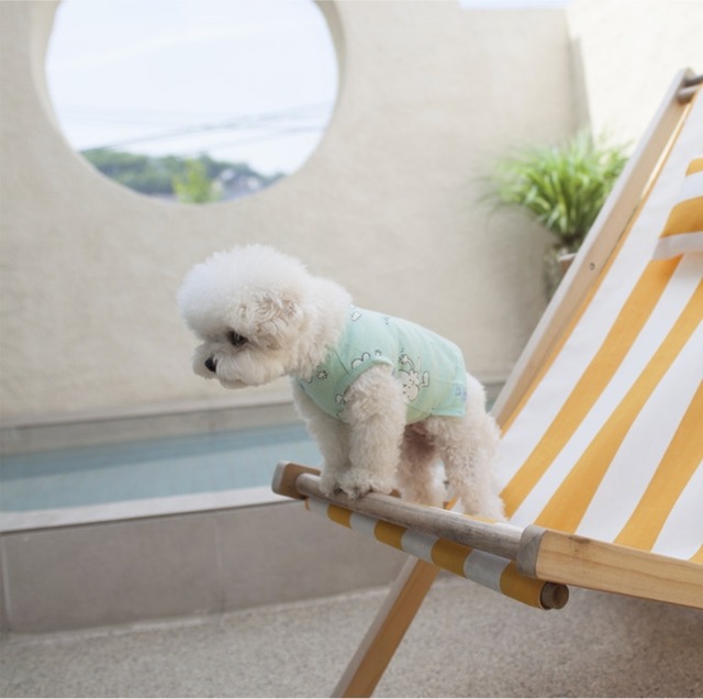 予約【coco chien】Chichi T-shirt (mint)