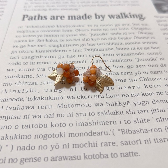 p_186 オレンジカルサイト