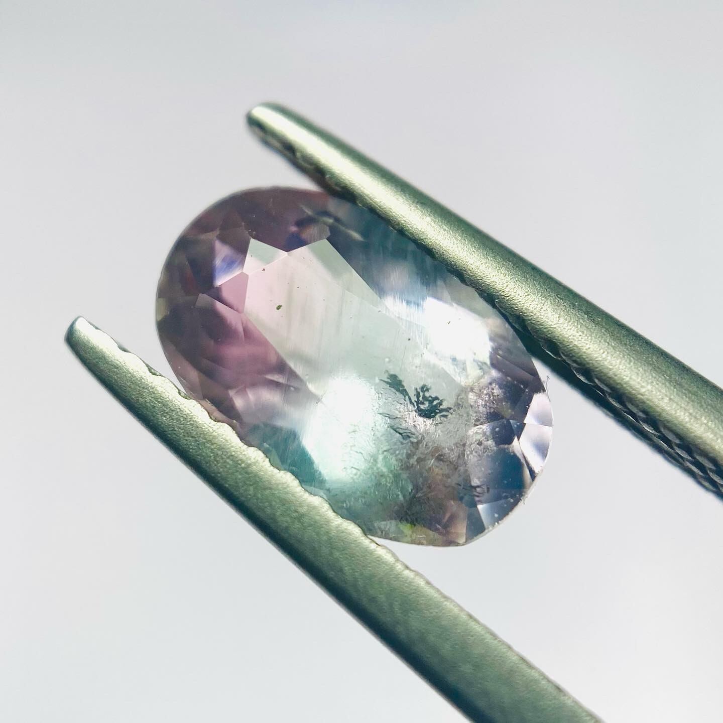 羽根羽ばたく パーティーカラートルマリン