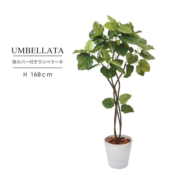 鉢カバー付き ウンベラータ160㎝［人工観葉植物・フェイクグリーンT］