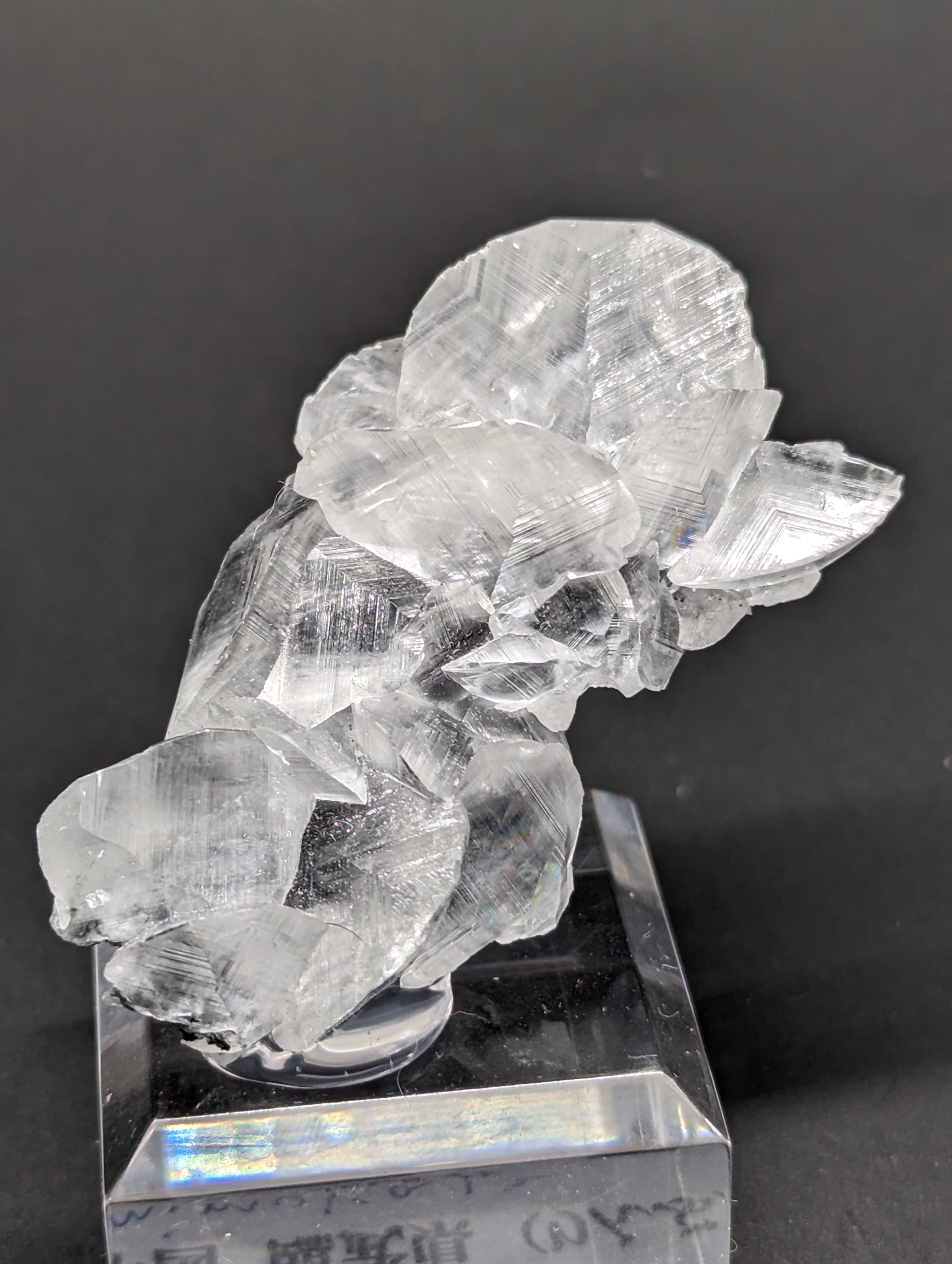 ナノカルタブレット 5個 ナノカルタブレット レモン味 1ケース(5個)