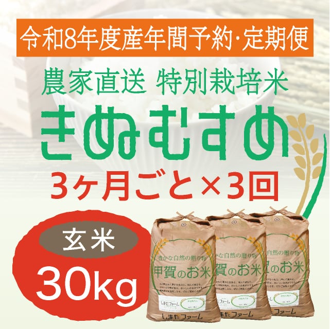 年間予約・定期便〉きぬむすめ 農家直売・特別栽培米 滋賀県産・近江米