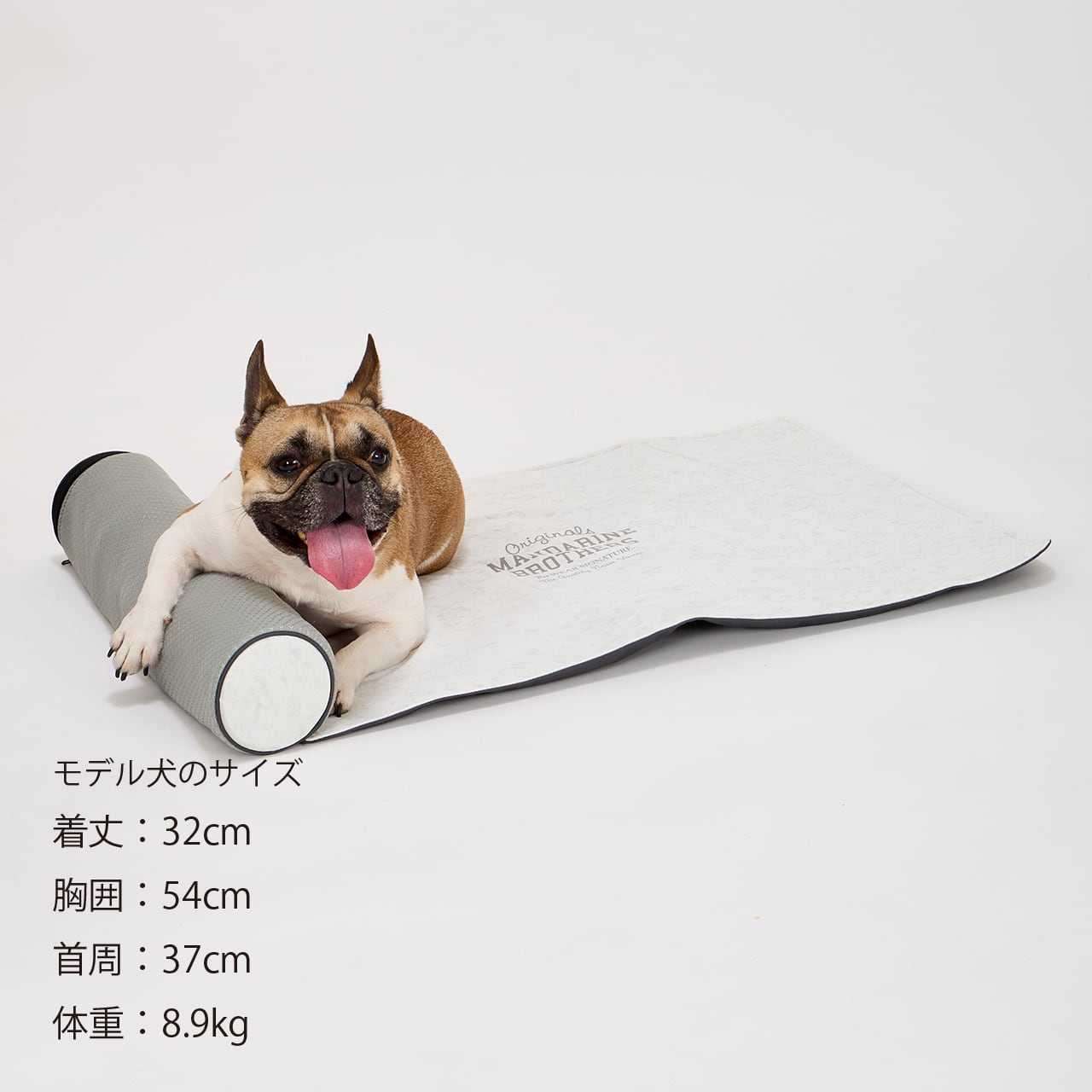 Cozy Mat コージーマット　子牛用保温マット　100V Cozy Mat コージーマット 子牛用保温マット 100V