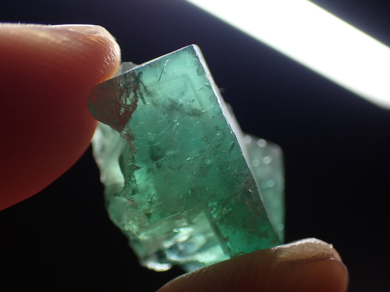 ダイアナマリア鉱山産 フローライト/Fluorite 原石 A-FLR539 | 鉱物