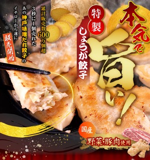 【勝手に応援プラン】餃子4種食べ比べセット （最後の冬フェス）