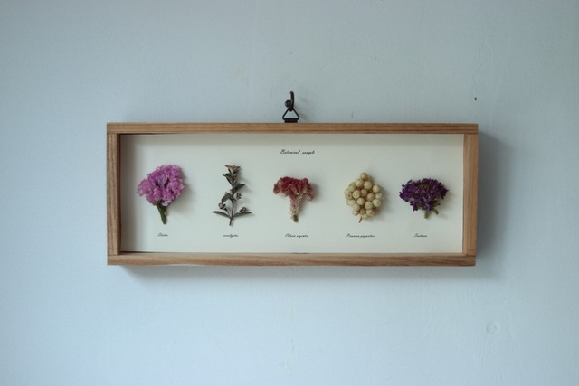 botanical sample