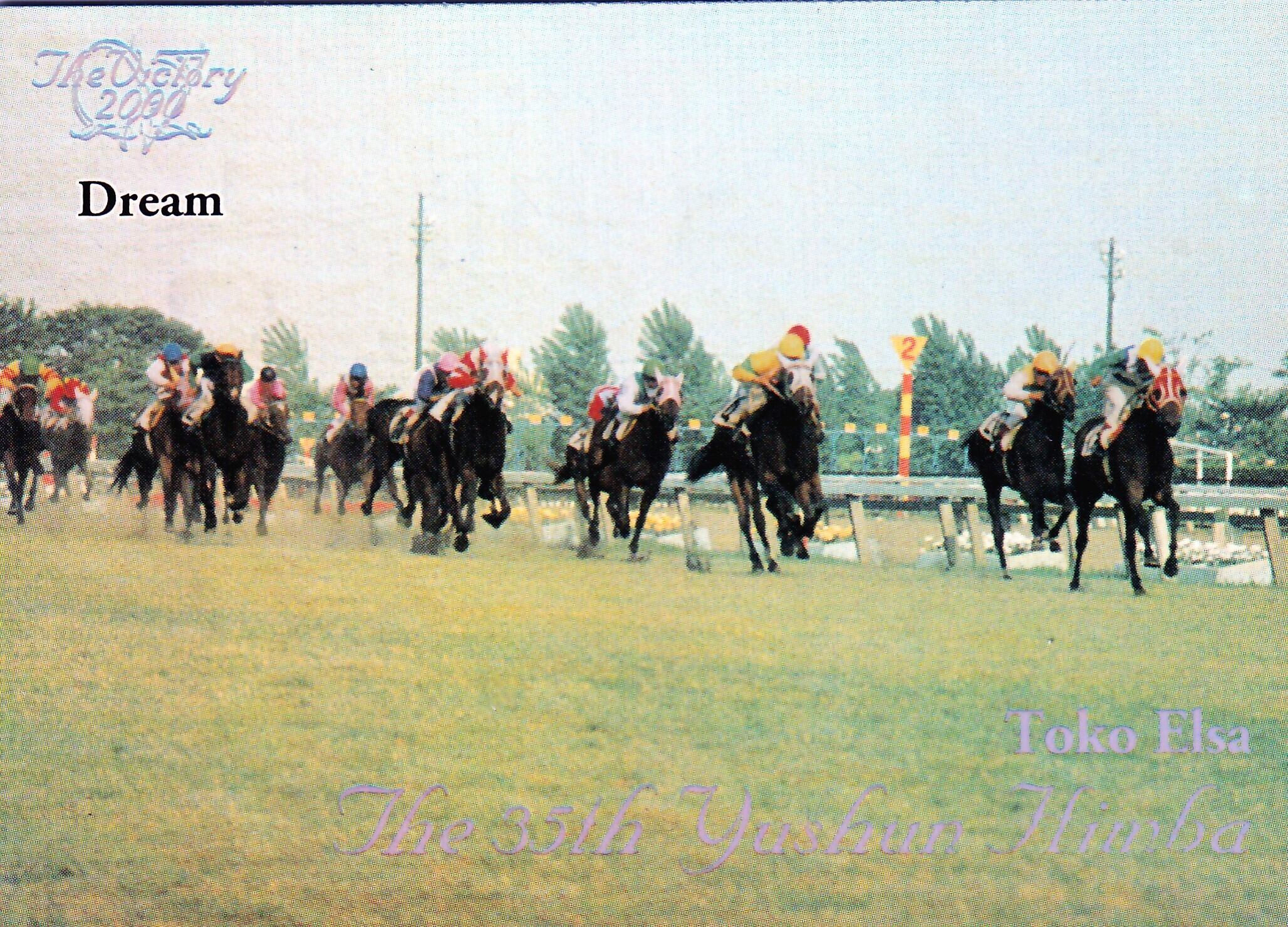第35回優駿牝馬：トウコウエルザ(Dream)「The Victory 2000」R-02 | PAY ID