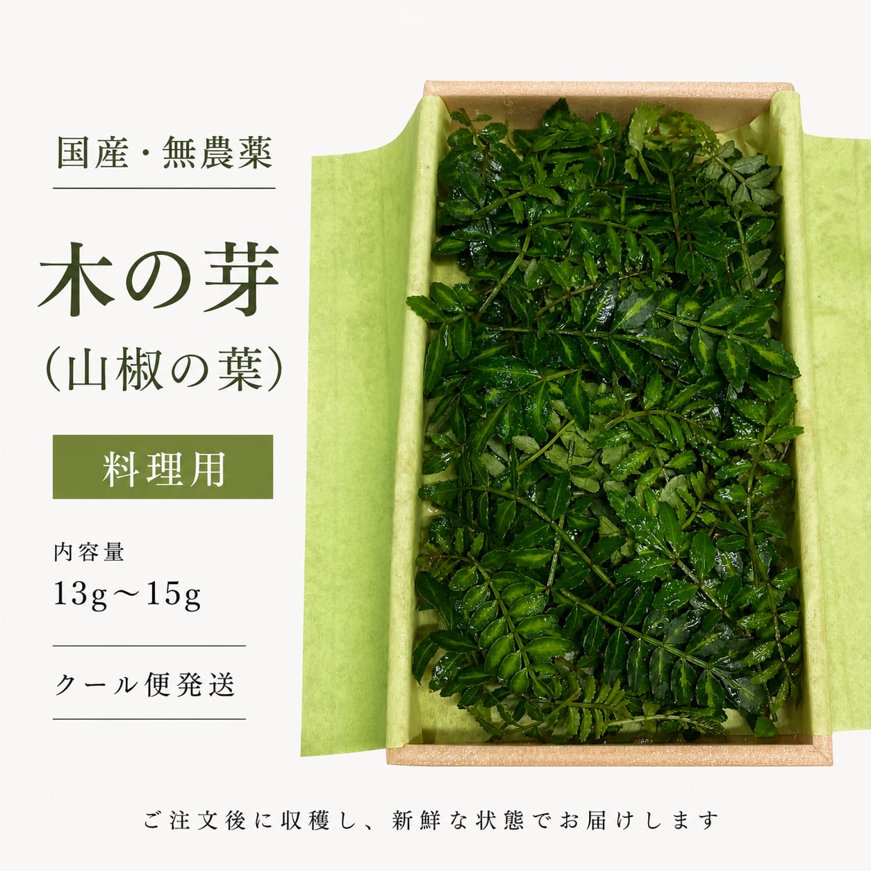 国産・無農薬】木の芽（山椒の葉）｜料理用｜クール便発送 | tokusashop