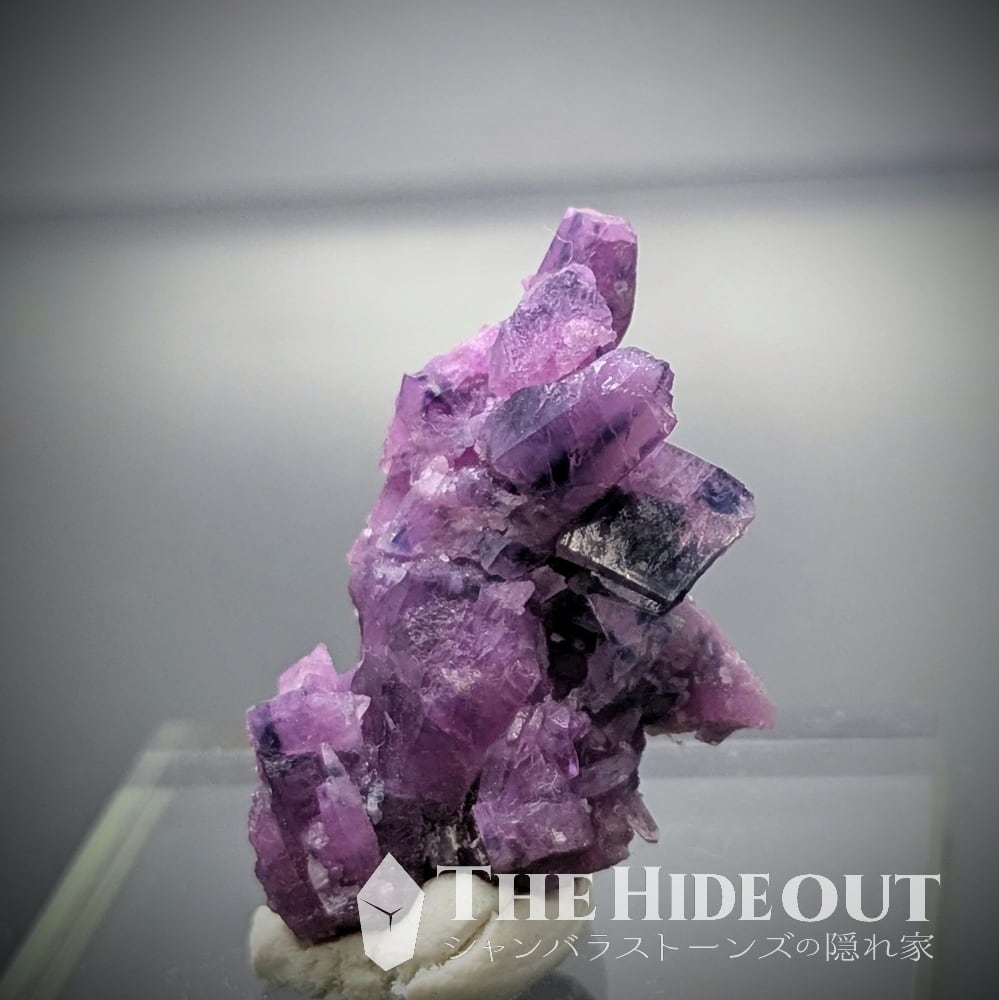 ヒマラヤ産鉱物原石標本026 ダディン地区産コランダム 滅多に手に入らないヒマラヤ伝説鉱物、ガネーシュヒマール/ルニール鉱山ルビーサファイア