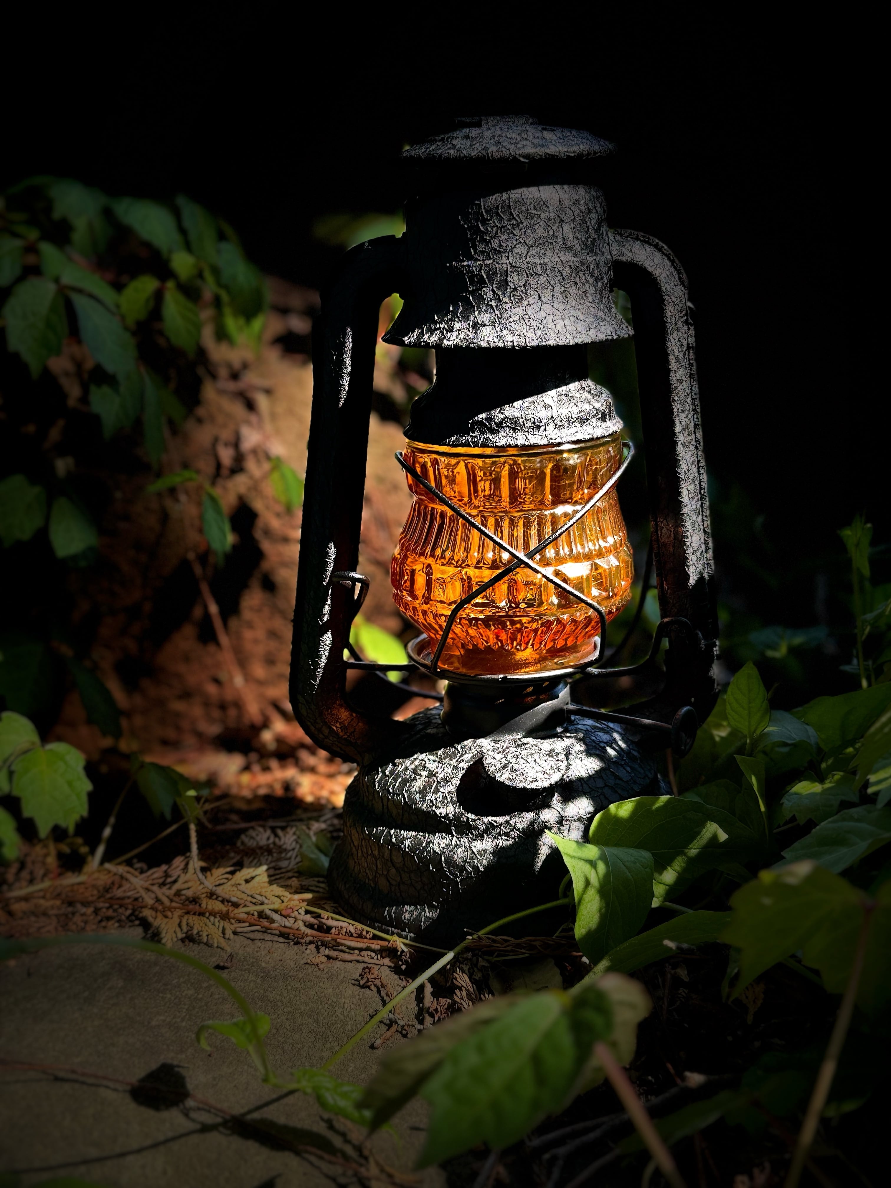 ヤマトキジャネフォー/ウルカグアリー Yamatoki Janefo