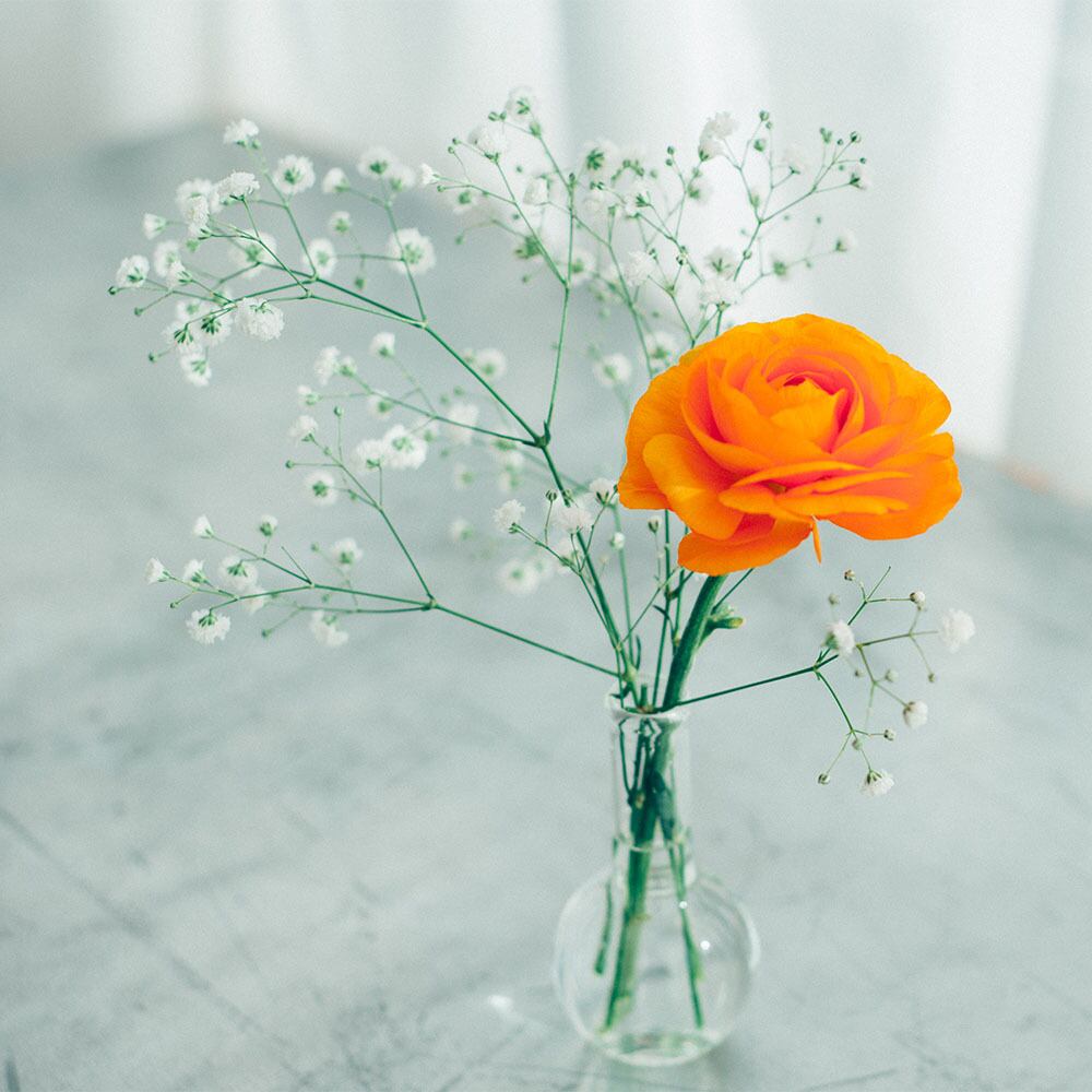 ヤス HARIO フラスコ　200ml 42個 ヤス様専用 HARIO フラスコ 200ml 42個 ヤス HARIO フラスコ 200ml 42