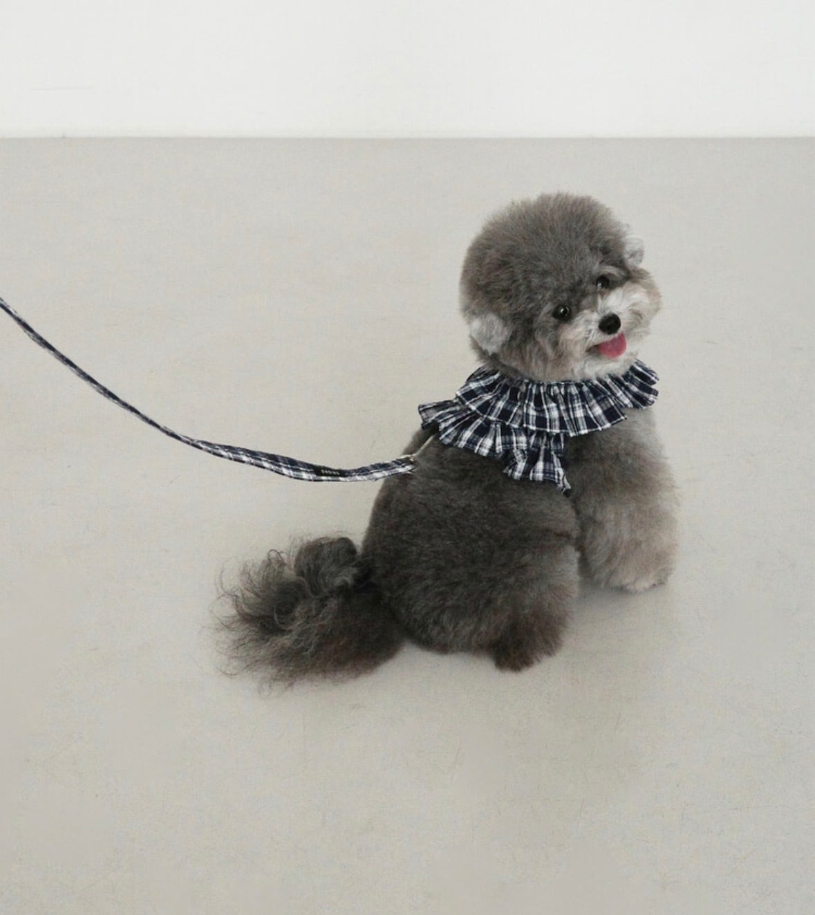 即納【OHDIBS】capeness no.16 _ Navy check | ropet