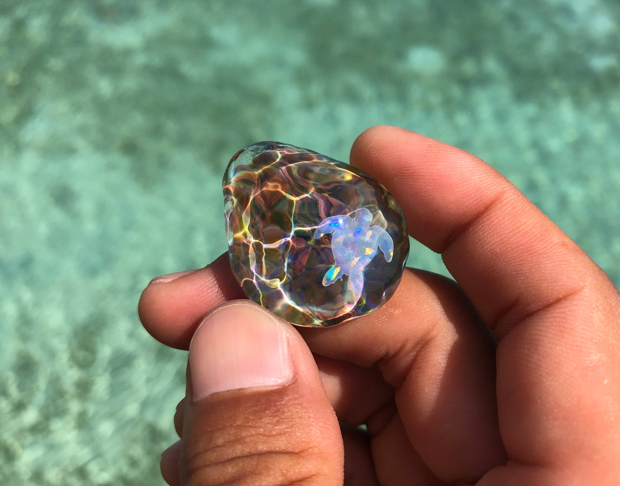 【Piece of Sea Seaturtle】