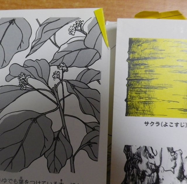 中古】 しぜんとあそぼ/明治図書出版/わだことみ