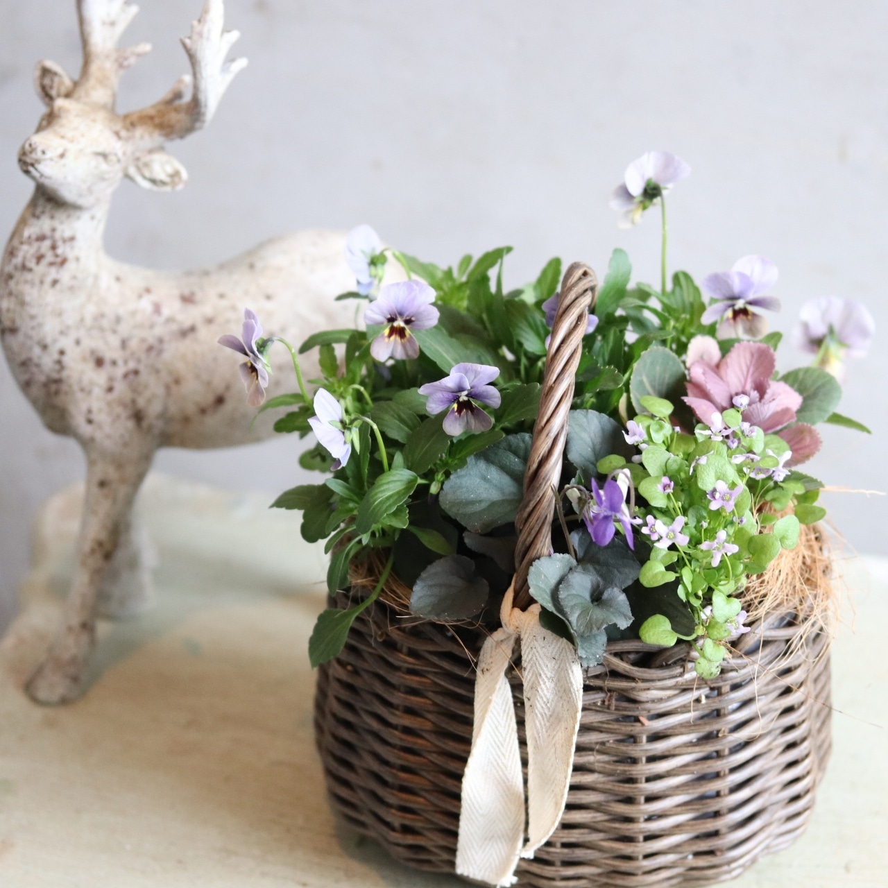 冬から春に楽しむ寄せ植え　ビオラNorthIslandViora北島園芸オリジナルとシックカラーのハボタンのバスケットの寄せ植え　お正月にオススメ　届いてすぐ玄関に飾れる 　プレゼントにもオススメ　