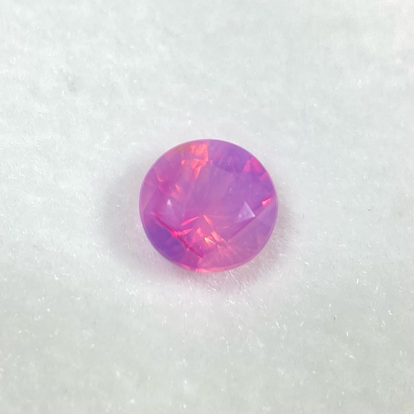 カトレア サファイア