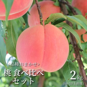 【2種類以上の品種を味わいたい方へ】ほそかわ農園の桃食べ比べセット 贈答用[2㎏]秋田県横手市十文字町産