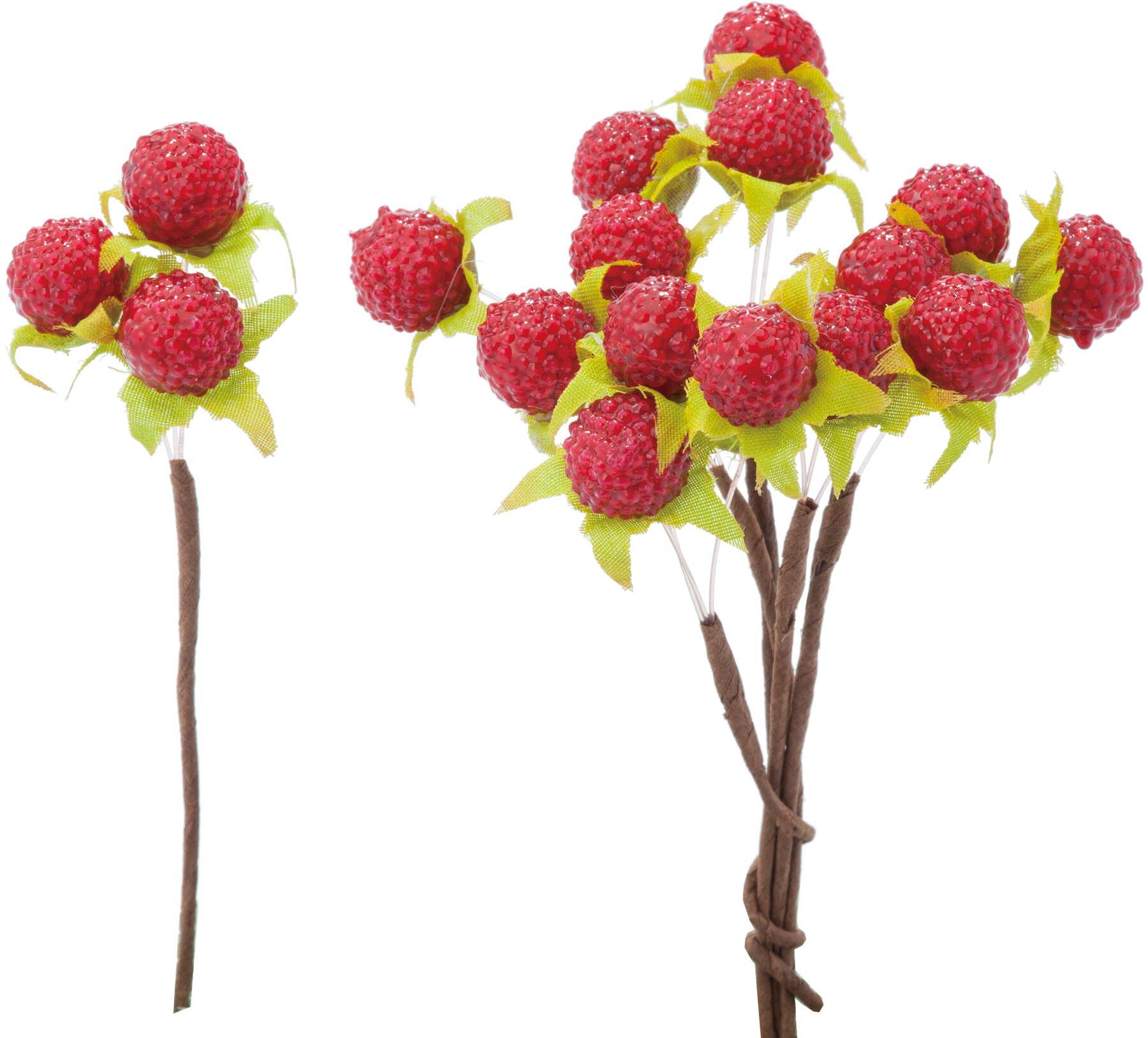 ミニラズベリーピック６Ｐ　　MY-021　4961823739996　花資材 > ピック