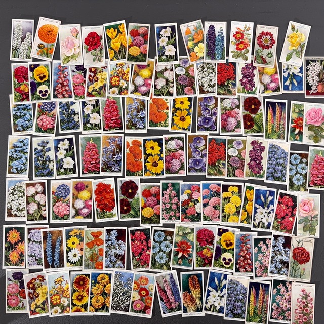 英国 イギリス シガレットカード 100枚 イギリス 英国 花 フラワー 植物 ジャンクジャーナル 2306010-21