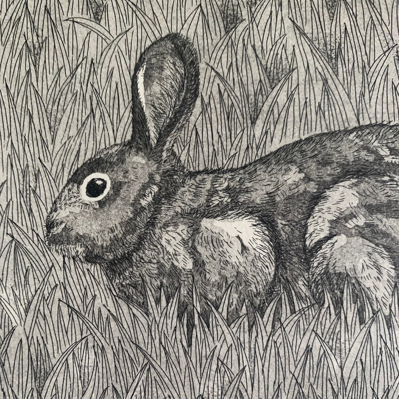 銅版画シート 草原のうさぎ | ラリーキルト、トライバルラグ、キリム