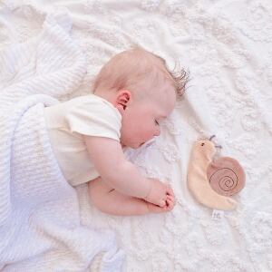 Snail with Crinckle_93208