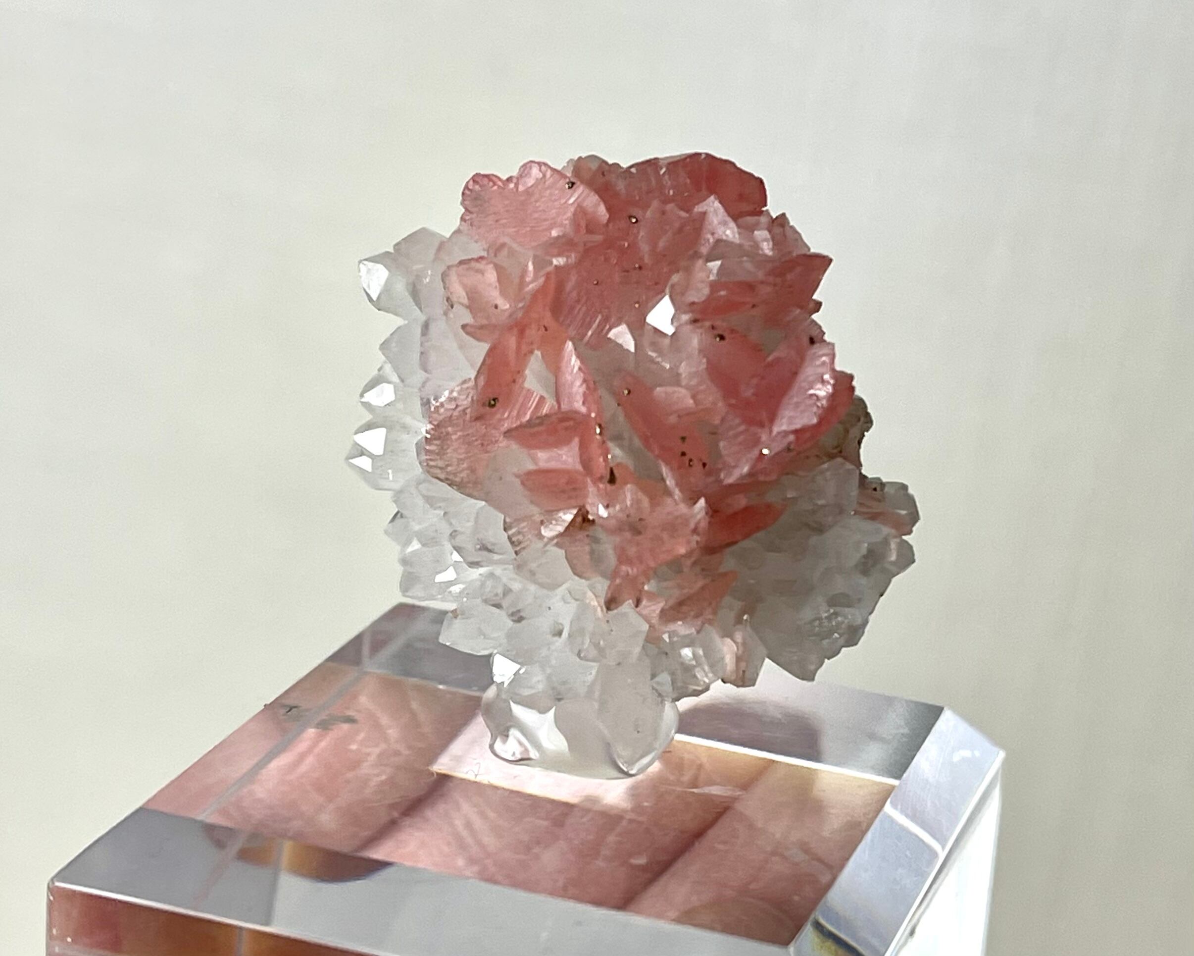 ロードクロサイト【Rhodochrosite with Quartz】中国産 | PEANUTS MINERALS