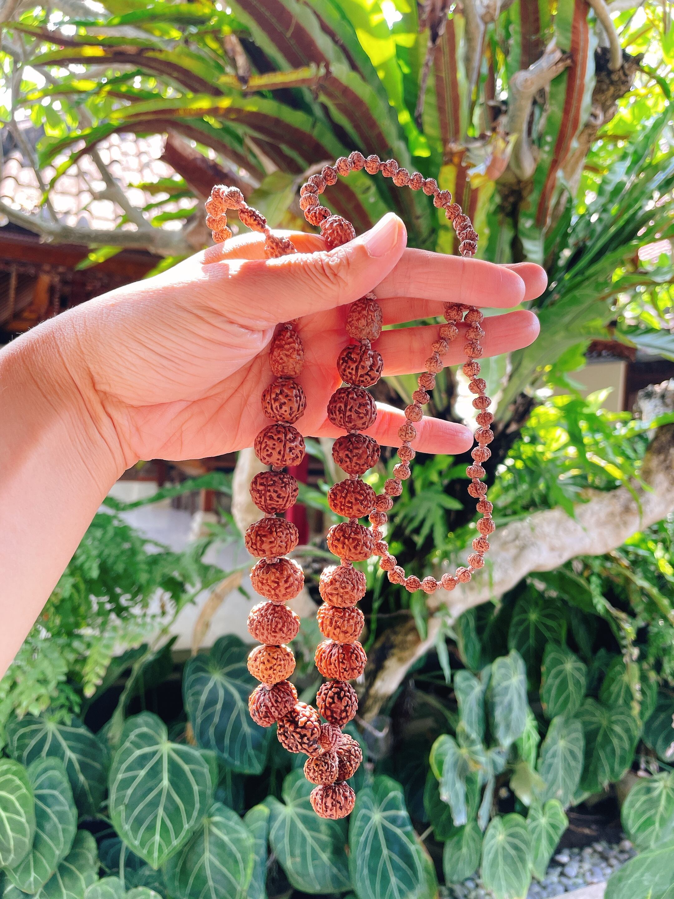 シッダマーラー | Kula Laksmi☆membhumi