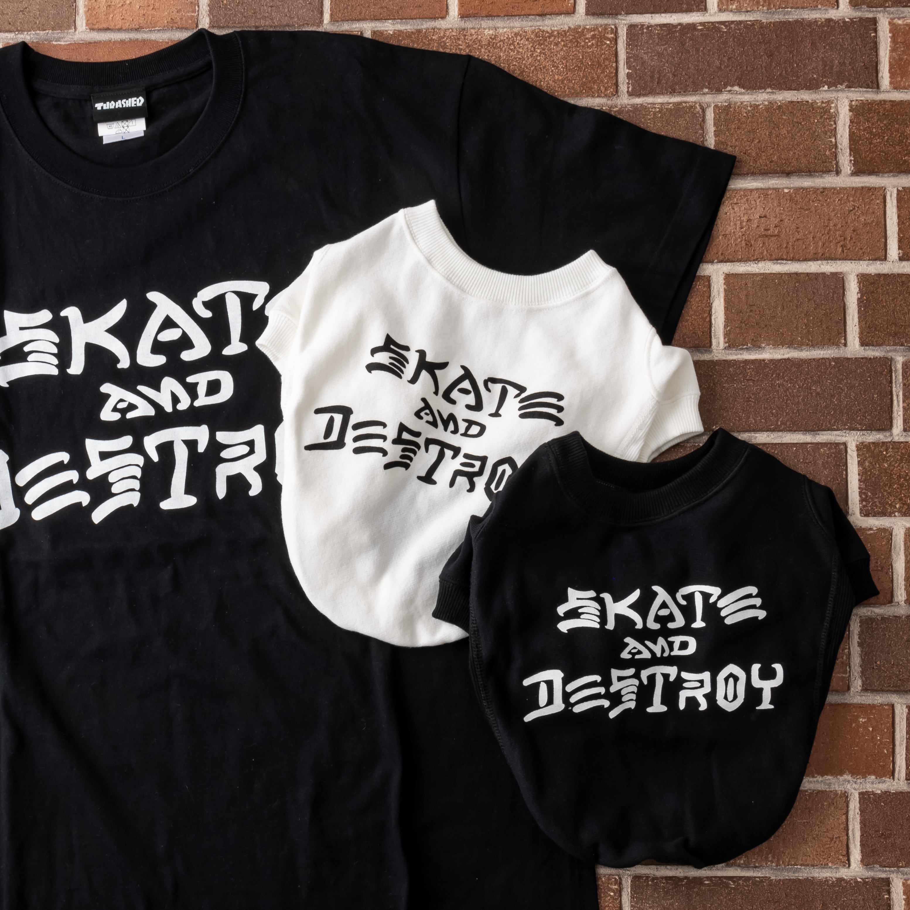 JACKSON MATISSE THRASHER × MATISSE(ジャクソンマティス) ニット 