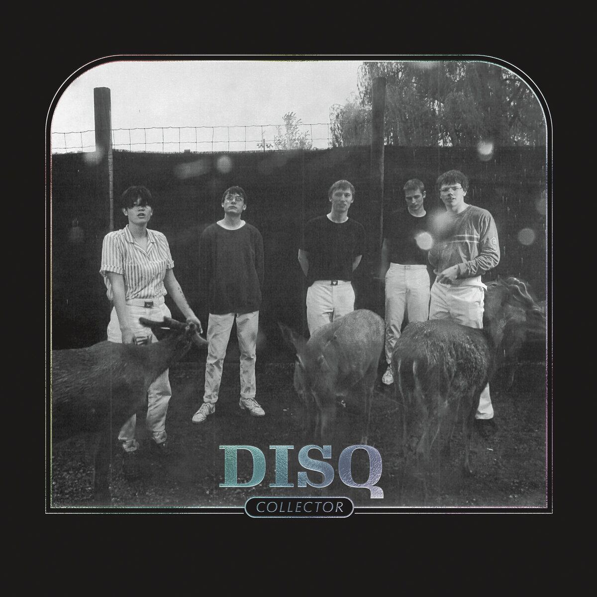 Disq / Collector（LP）