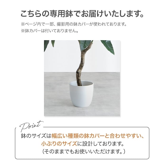 観葉植物 パキラ フェイクグリーン 光触媒人工観葉植物 高さ120cm | FIGARO