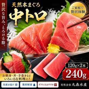 【ご家庭用】天然本まぐろ  中トロ  260g（約130g×2サク）